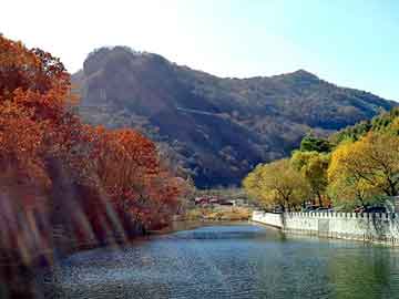 新澳天天开奖资料大全旅游团，泛目录培训